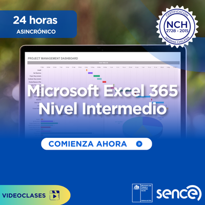 MS Excel 365, nivel Intermedio