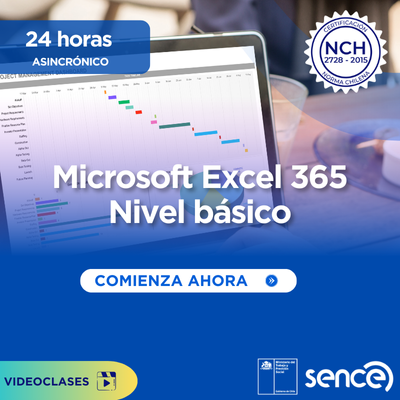 MS Excel 365, nivel básico